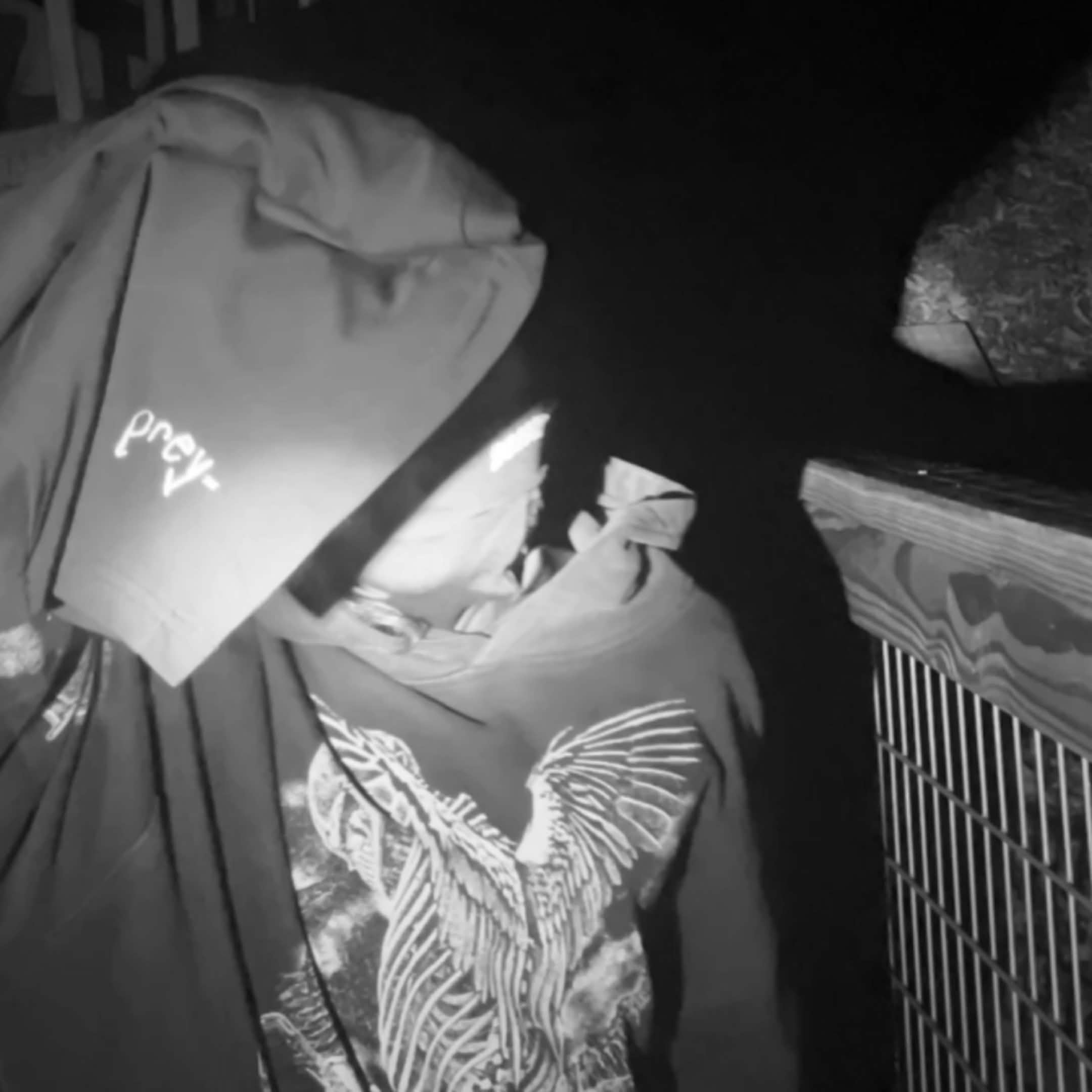 og logo heavyweight shorts (black)